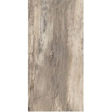 ректиф. (30х60) PETRIFIED TREE BEIGE BARK 634D1R з колекції Petrified Tree Emilceramica ректиф. (30х60) PETRIFIED TREE BEIGE BARK 634D1R з колекції Petrified Tree Emilceramica Petrified Tree Керамічна плитка Emil Ceramica