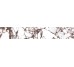 Плитка Red Double Honed 10x60 Pulp 41zero42 из коллекции Pulp 41zero42