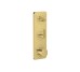 Термостат Axor Citterio C Cubic cut 380/120 для 2-х споживачів, Polished Gold Optic (49701990)