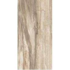 ректиф. полуп. (44.4х89) PETRIFIED TREE BEIGE TIGER CORE 938D1P LAPP з колекції Petrified Tree Emilceramica ректиф. полуп. (44.4х89) PETRIFIED TREE BEIGE TIGER CORE 938D1P LAPP з колекції Petrified Tree Emilceramica Petrified Tree Керамічна плитка Emil Ceramica — сторінка 2