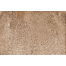 (41x61.5) CSANFI4161 Native Fire 4161 - Родная з колекції Native Sant Agostino