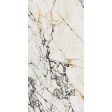 60x120 PF60009066 Spr.Treas.Corchia Gold NatR Supreme Treasure из коллекции Supreme Treasure