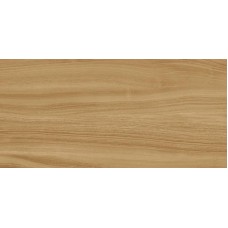 Ewood Camel Nature 120x250 XLight з колекції XLight Urbatek плитка — сторінка 17