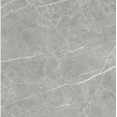 90X90 Elite Gray Matt з колекції Elite