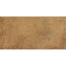 22,5 x 45 DARPP664 Siena з колекції Siena Siena Керамічна плитка Rako