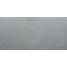 50x100 London Gris-London-FFXR02I021 из коллекции London 50x100 London Gris-London-FFXR02I021 из коллекции London London Керамическая плитка Roca
