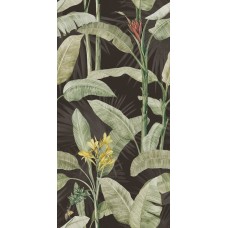 60x120 174022 Botanical Imagine з колекції Imagine Imagine Ava