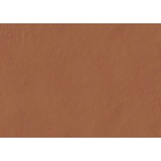 (15x20) PUTI88 Tierras Brick - Tierras Industrial из коллекции Tierras Industrial Tierras Керамическая плитка Mutina