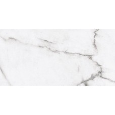 White Statuario Rett 30x60 Epoque з колекції Epoque White Statuario Rett 30x60 Epoque з колекції Epoque Epoque Керамічна плитка Ariana
