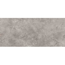 G2504 FIORI DI BOSCO SILK 120x270 (настінна) G2504 FIORI DI BOSCO SILK 120x270 (настінна)