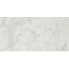 (60x120) P62296 пл. Grigio Classico - Grigio Classico з колекції Grigio Classico FMG Grigio Classico