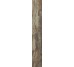 Плитка (16x99.5) PO1660RL Petrified Wood Brown Rett/Lapp - Petrified Wood з колекції Petrified Wood Ascot