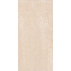 (30x60) 3742210231 Dual Marfim Polido - Dual из коллекции Dual Dual Керамическая плитка Revigres