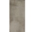 Плитка (30x60) P360507 TAUPE - Teknostone з колекції Teknostone Ariostea
