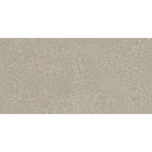 Плитка Hwd 211 Greige Rett - 60x120 SCWD11R Wild2 з колекції Wild2 Del Conca