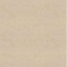 Beige Texture Anti-Slip 60.3x60.3 Dublo з колекції Dublo Beige Texture Anti-Slip 60.3x60.3 Dublo з колекції Dublo