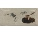 Декор Decor Beige Coffee 10x20 Marmol Ribesalbes з колекції Marmol Ribesalbes