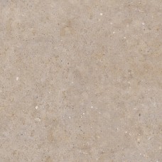 120x120 Bi Greige - Biophilic - P009413 из коллекции Biophilic Pastorelli: фабрика, для которой модули рисовал Джуджаро — страница 11