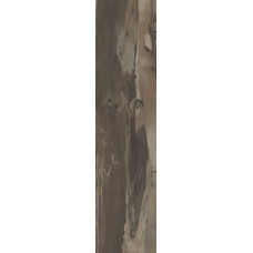 (24.3x99.5) PO2560RL Petrified Wood Brown Rett/Lapp - Petrified Wood з колекції Petrified Wood Ascot