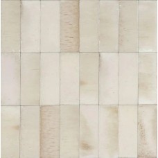 7.5x20 R8GZ Gleeze Beige Glossy Gleeze з колекції Gleeze Gleeze Керамічна плитка Ragno — сторінка 2