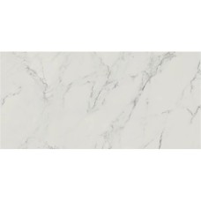 Carrastone White RECT 598x1198x8 Carrastone White RECT 598x1198x8