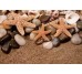 Бордюр Shells Deco Double 50x60 Sonora Ceramika Color з колекції Sonora Ceramika Color
