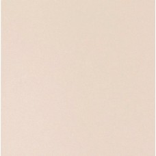 (40x40) 10489 Beige Natural - Sabbia з колекції Sabbia Sabbia Керамічна плитка Todagres