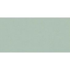 FLORALIA SAUGE NAT RET - 60x120 PF60008232 Floralia з колекції Floralia Floralia