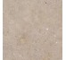 Плитка 60x60 Bi Greige - Biophilic - P009498 з колекції Biophilic Pastorelli