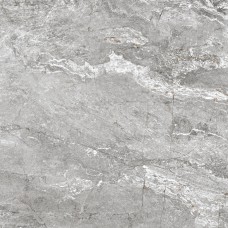 Premium Grey - 59.2x59.2 Premium з колекції Premium Premium
