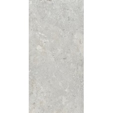 Signature Stone Grey - 59.7x119.7 DSS12640R Signature Stone з колекції Signature Stone Ascot Signature Stone
