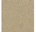 Плитка HWD 01 Beige Rett-60x60 G9WD01R Wild из коллекции Wild Del Conca