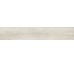 Плитка (16x99.5) FC1610 Focus White - Focus из коллекции Focus Ascot