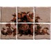 Декор (20x30) 01E6965 Pann. Antichi Sapori Noce S/6 - Ciottoli з колекції Ciottoli Elios