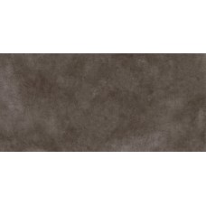 120x250 Lcs Ceramics Molitor Ombre Naturelle 31 6 Mm - Le Corbusier LCS Ceramics з колекції Le Corbusier LCS Ceramics DSG