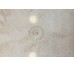 Декор Elegance Crema Decor 31x45 Partenon Cristacer з колекції Partenon Cristacer