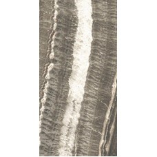 Striato Lucido 59x118 Onici з колекції Onici Onici Керамическая плитка Casalgrande Padana — страница 2
