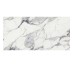 769859 ORIGINES DE REX ARGENT GLOSSY  RET (1 сорт)