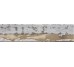 Плитка Grey 6.3x25.5 Woodlands Cevica з колекції Woodlands Cevica