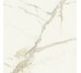 Плитка SCULTOREA CALACATTA ORO FINO VELVET 120 - 120x120 J406 Scultorea з колекції Scultorea Marca Corona