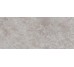 G2704 FIORI DI BOSCO POLISHED 02 120x270 (плитка настінна)