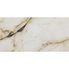 (60x120) 726944 Paonazzetto Luc - I Bianchi di з колекції Gold (60x120) 726944 Paonazzetto Luc - I Bianchi di з колекції Gold I Bianchi di Rex Керамічна плитка Rex — сторінка 4