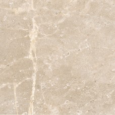 60x60 Atenas-Atenas з колекції Atenas 60x60 Atenas-Atenas з колекції Atenas Atenas Керамічна плитка Ecoceramic
