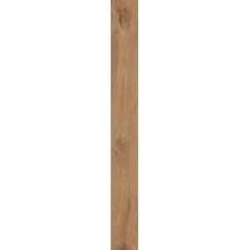 Leccio Oliato - 20x180 1086643 I Lecci з колекції I Lecci