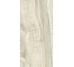 Плитка Invictus Beige Kry - 30x60 CSAINVBK30 Invictus з колекції Invictus Santagostino