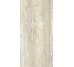 Плитка Invictus Beige Kry - 30x60 CSAINVBK30 Invictus з колекції Invictus Santagostino