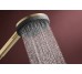 Ручний душ Raindance Alive Select S 3jet EcoSmart+  Brushed Bronze  (24512140)
