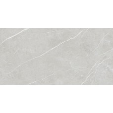60X120 Elite Silver Matt Rec из коллекции Elite 60X120 Elite Silver Matt Rec из коллекции Elite