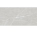Плитка 60X120 Elite Silver Matt Rec Tau з колекції Elite Tau