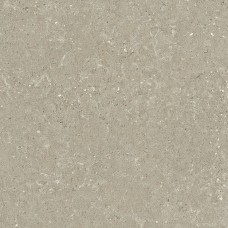 HWD 11 Greige Rett-60x60 G9WD11R Wild из коллекции Wild HWD 11 Greige Rett-60x60 G9WD11R Wild из коллекции Wild Wild Керамическая плитка Del Conca